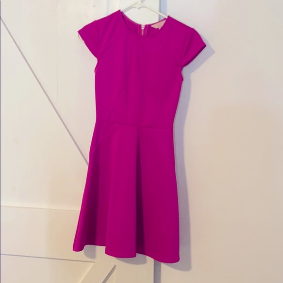 Ted Baker Fuchsia Eebrr Skater Dress sz 0 = 2 - Picture 2 of 7